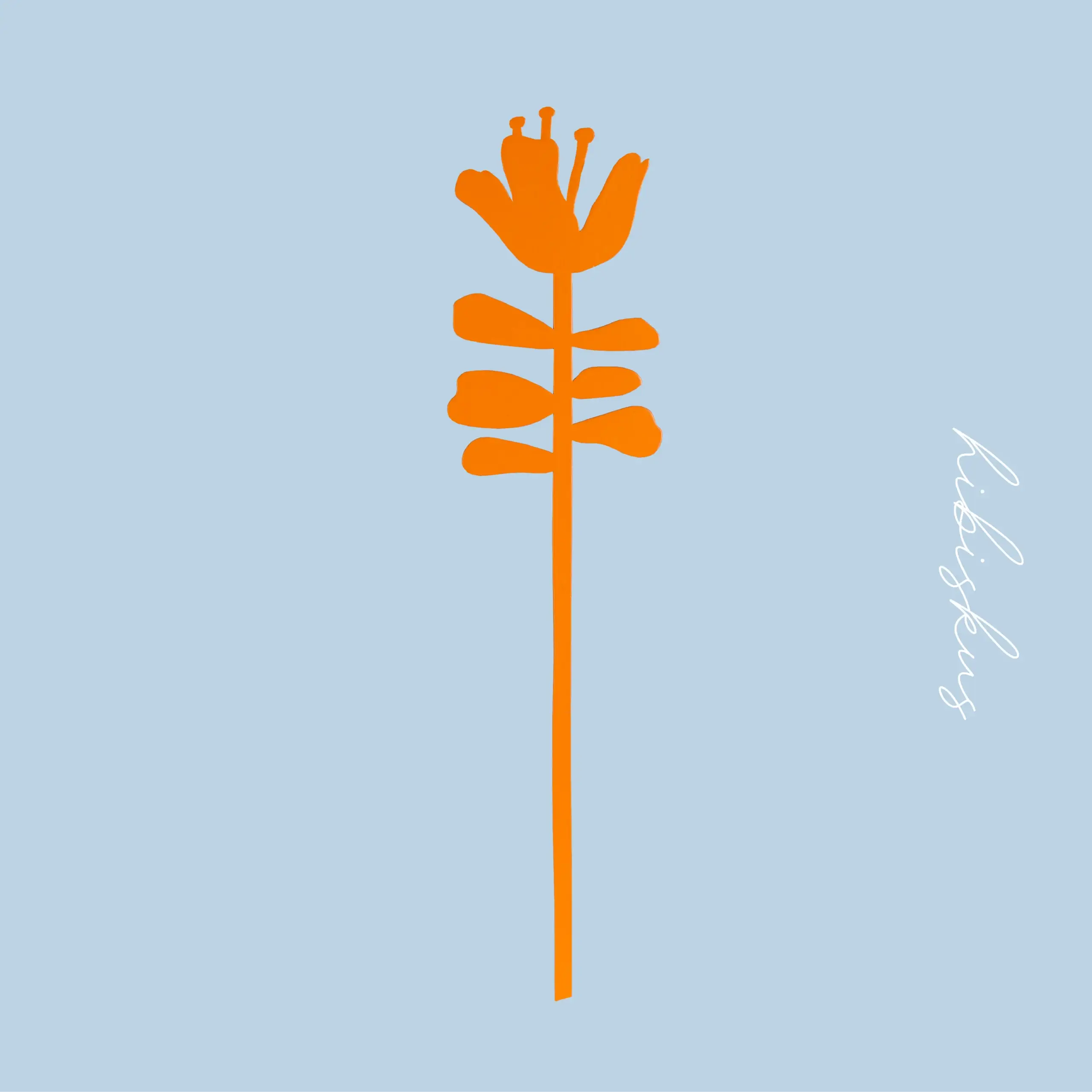 HOLZBLUME - HIBISKUS