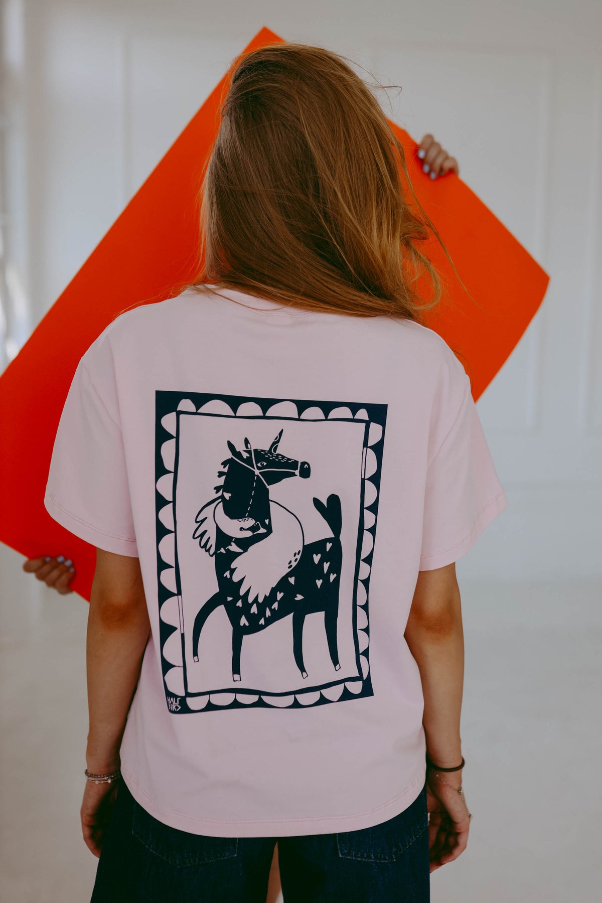 MAKE FRIENDS - BOXY T-SHIRT - Halfbird x DGU - ART Kollektion