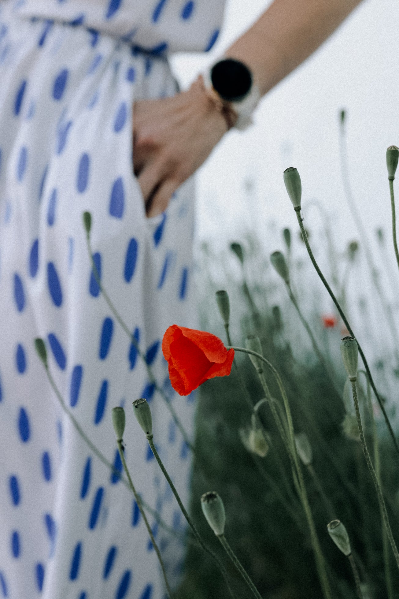 REGEN - ERWACHSENEN ROCK (LIEFERUNG CA. 14 TAGE)