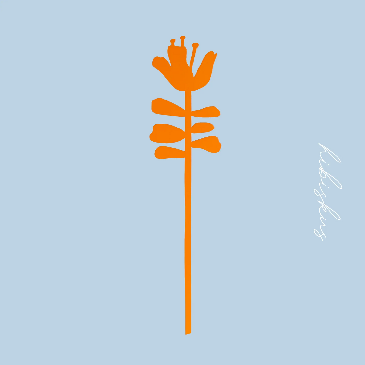 HOLZBLUME - HIBISKUS