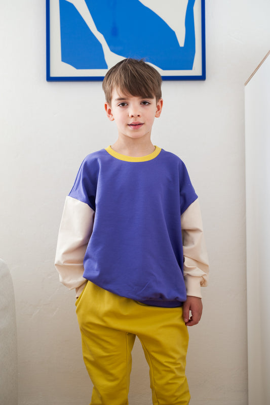 ULTRA VIOLET COLOR BLOCKING SWEATSHIRT