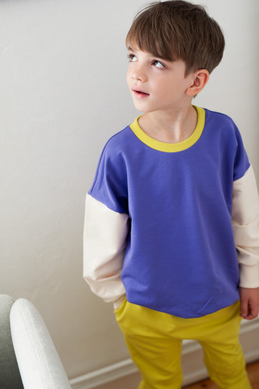 ULTRA VIOLET COLOR BLOCKING SWEATSHIRT