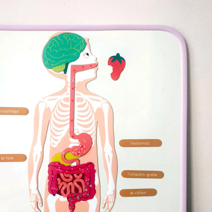 MAGNETISCHE TAFEL - FLIEDER