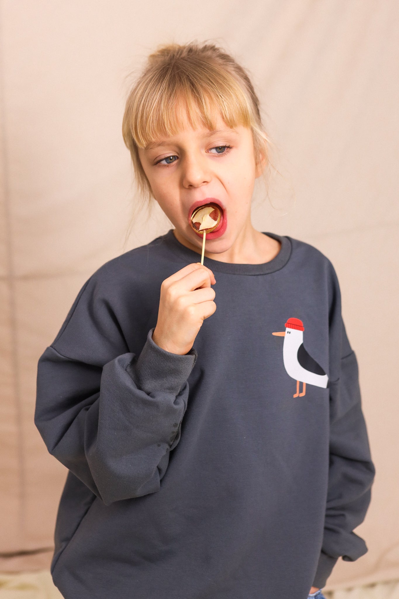 MÖWE AUF DUNKELGRAU SWEATSHIRT (LIEFERZEIT CA. 14 TAGE)